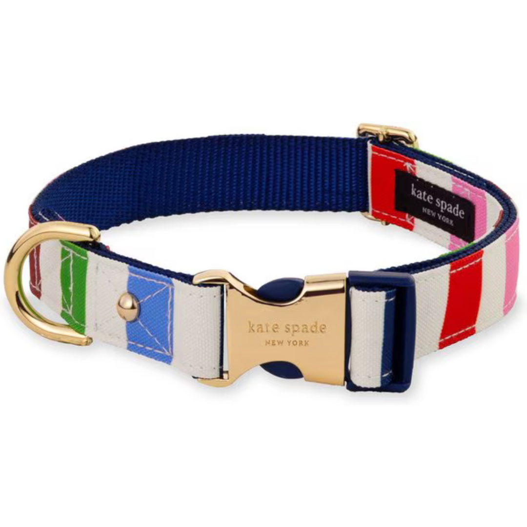 Kate Spade Adventure Stripe Collar