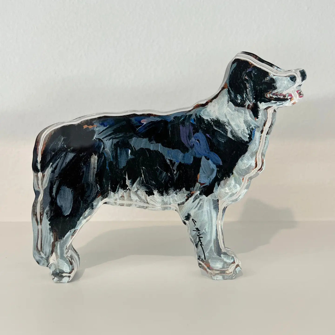 "Border Collie" Acrylic Shelfie
