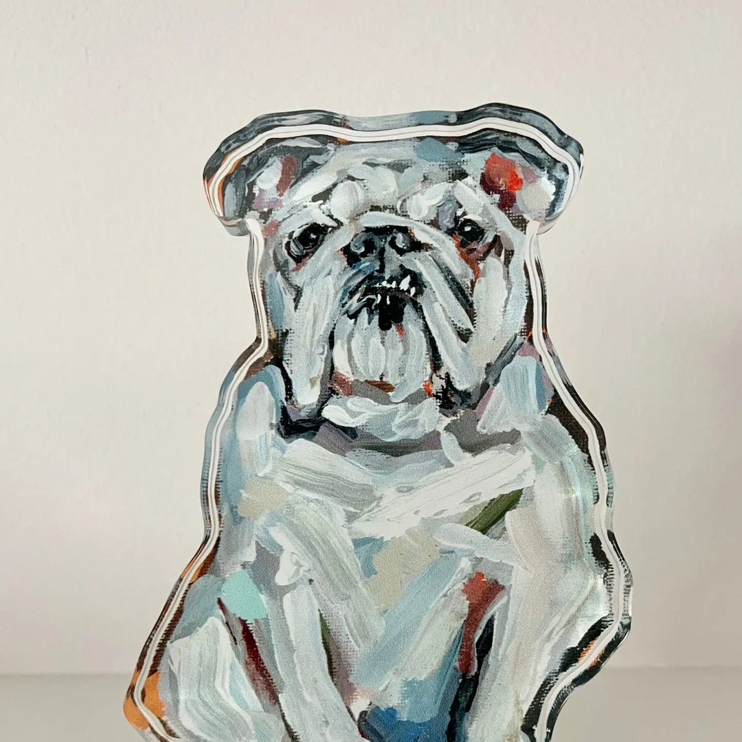 "English Bulldog White" Acrylic Shelfie