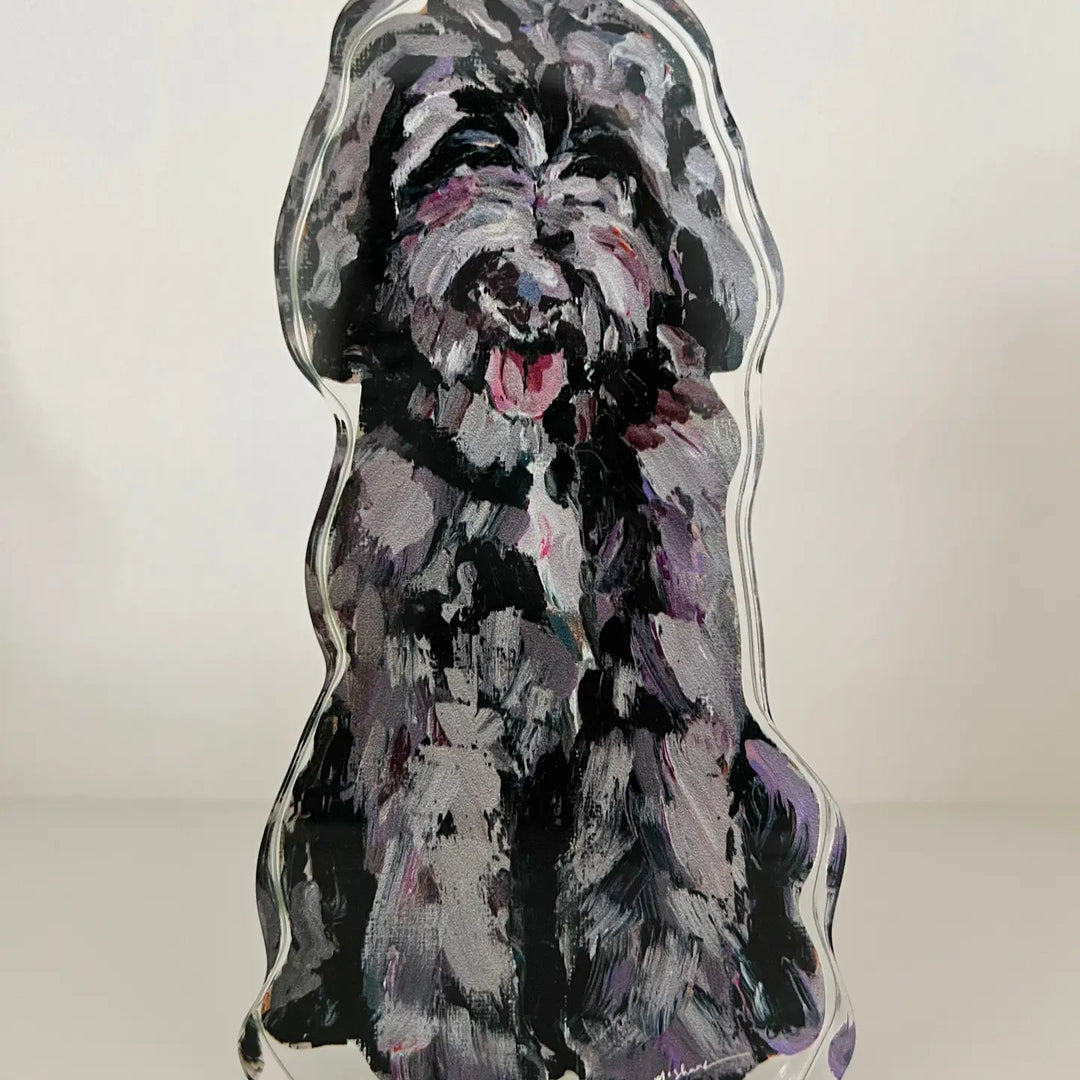 "Golden Doodle Chocolate Shaggy" Acrylic Shelfie