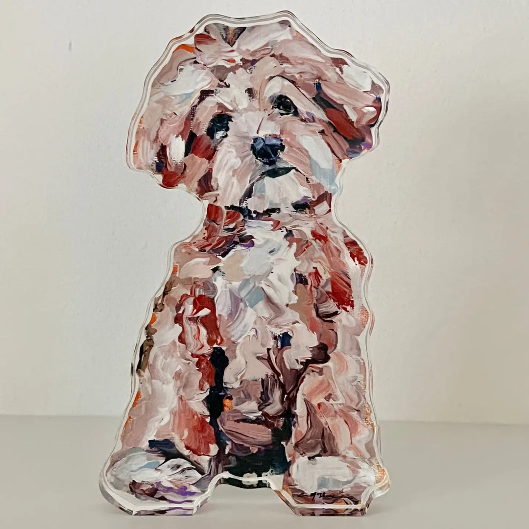"Maltipoo Apricot" Acrylic Shelfie