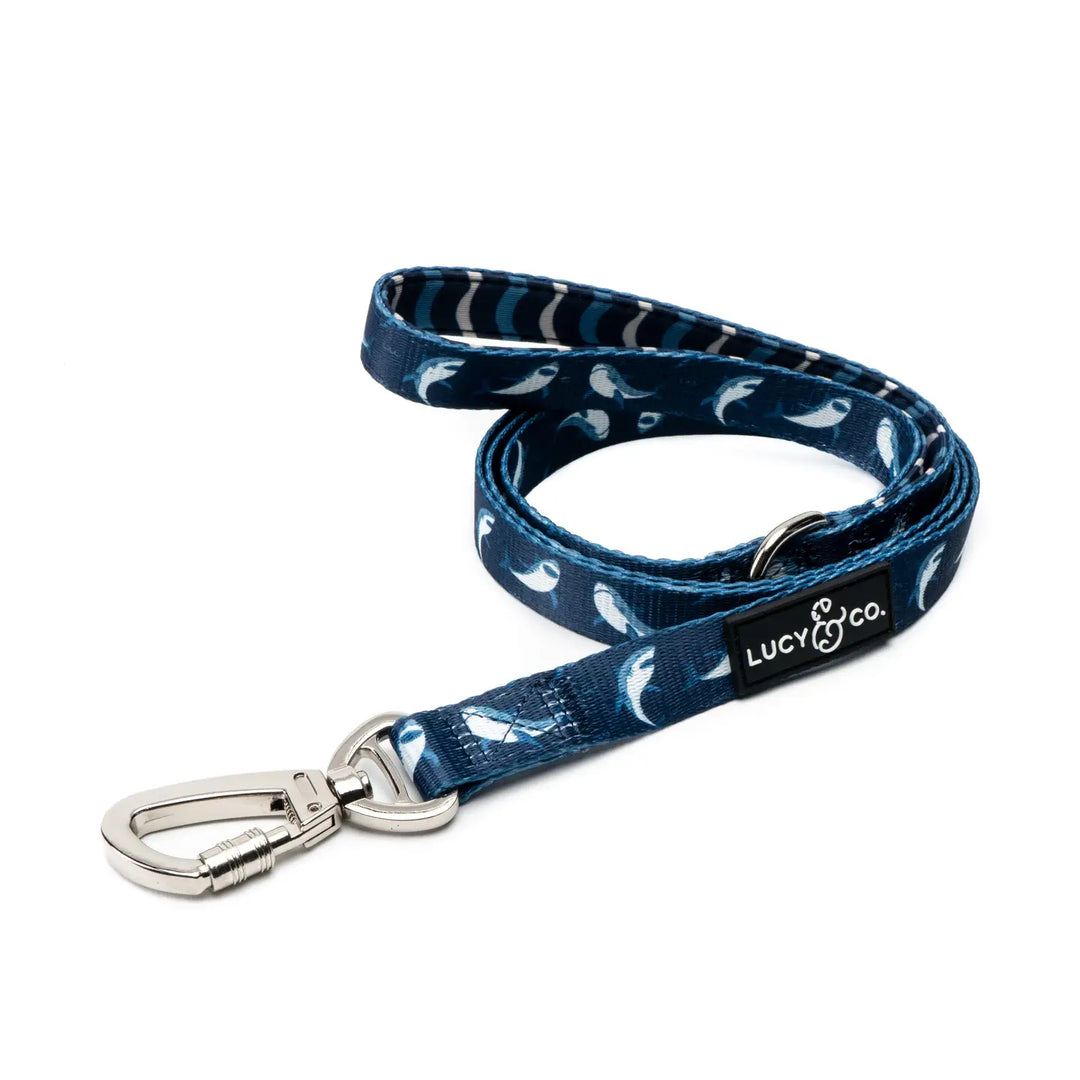 Lucy & Co Shark Attack Matching (60 inch) Leash