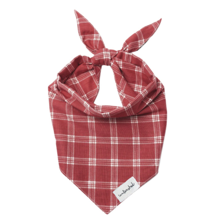 Unleashed Bandana- Cider
