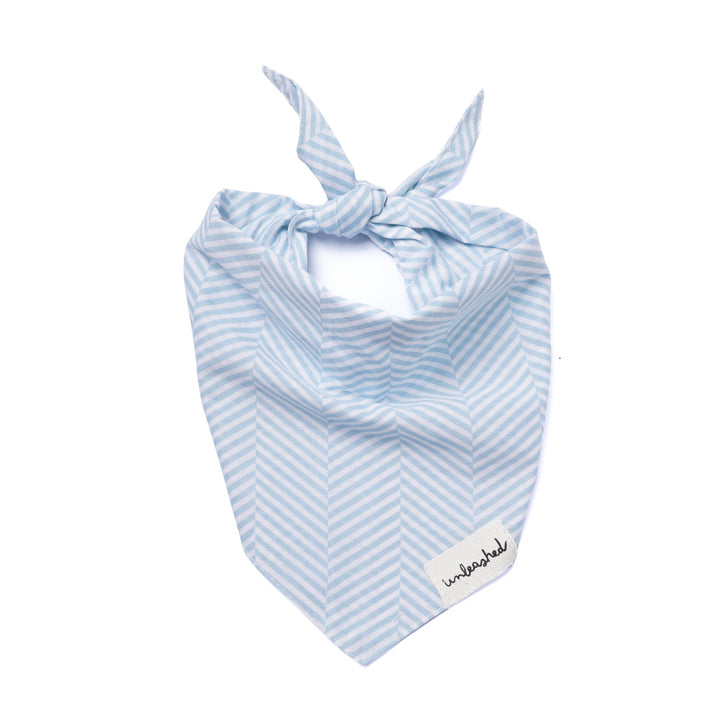 Unleashed Bandana - Breezy