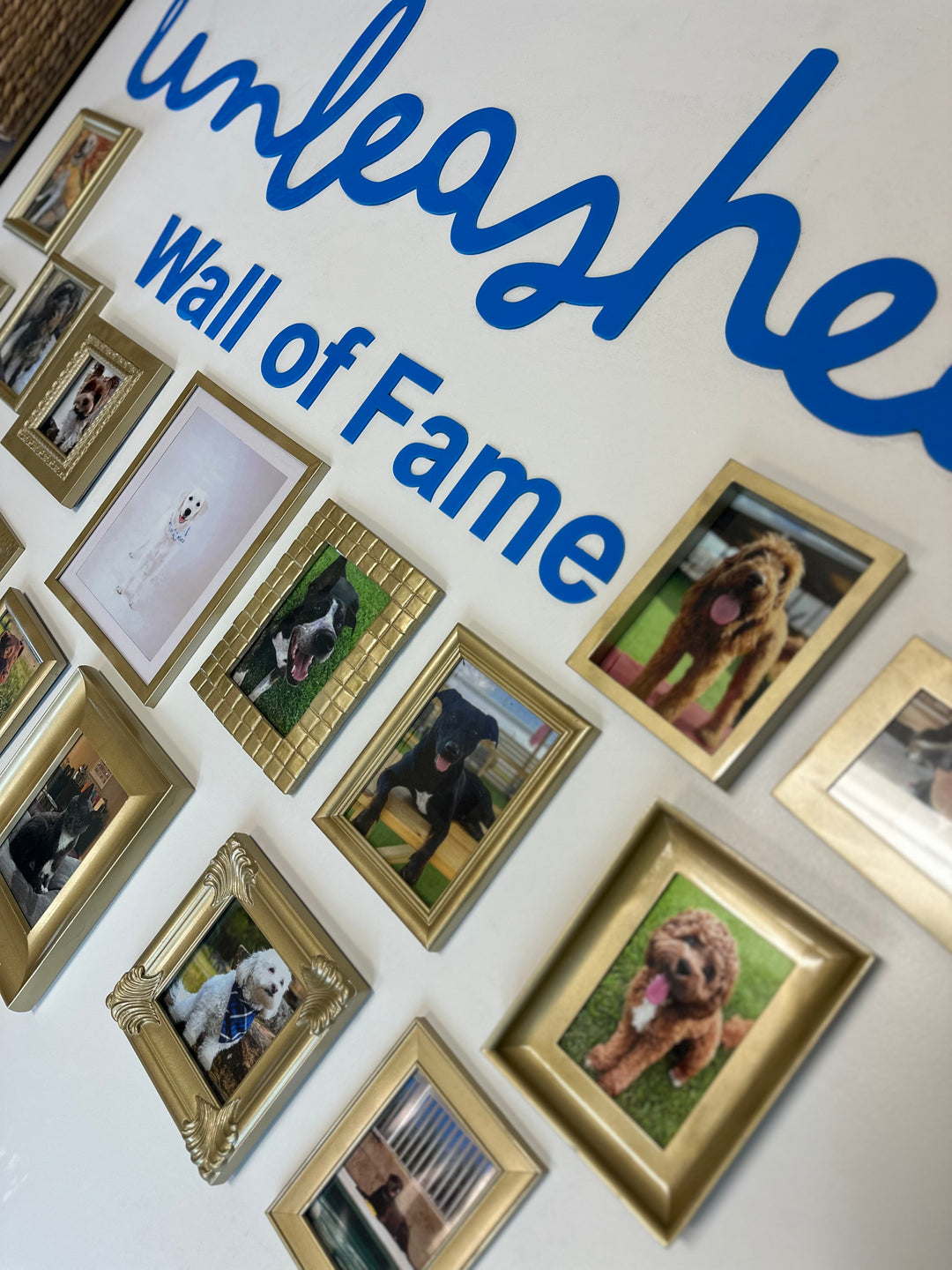 Unleashed Wall of Fame