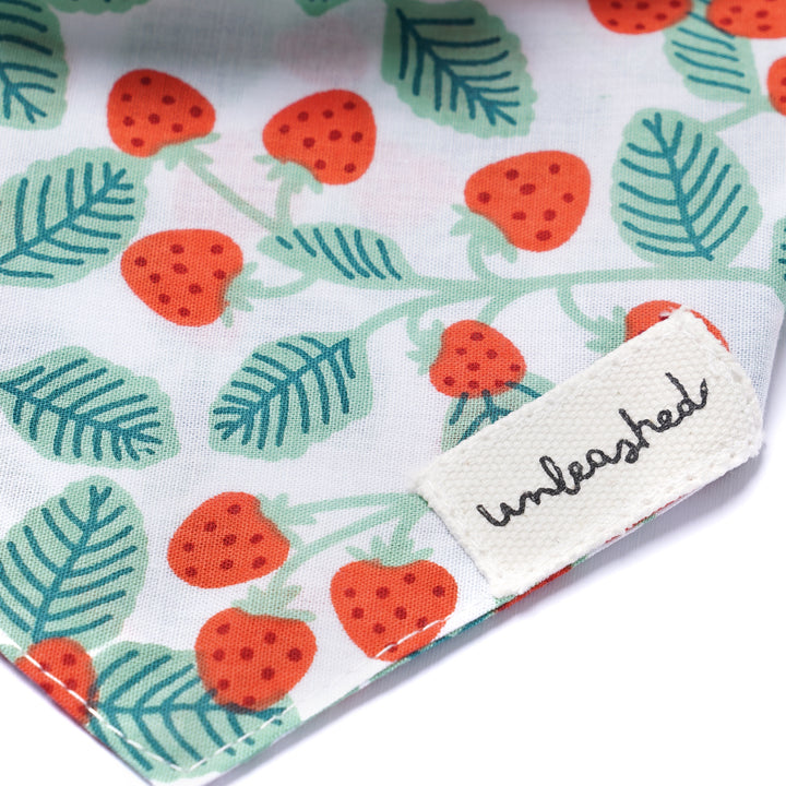 Unleashed Bandana - Henly
