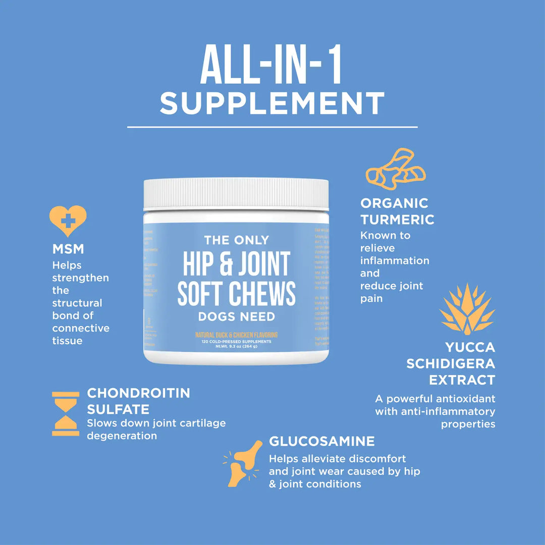 The Only Hip & Joint Soft Chews Dogs Need (120 Count)