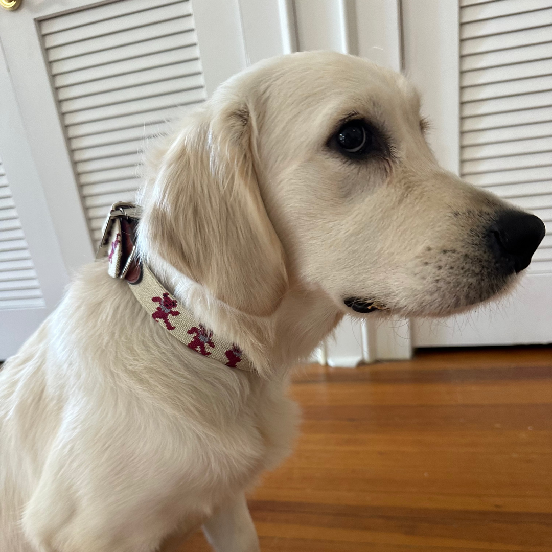 Smathers & Branson Custom Dancing Bear Dog Collar (Oatmeal/Crimson)