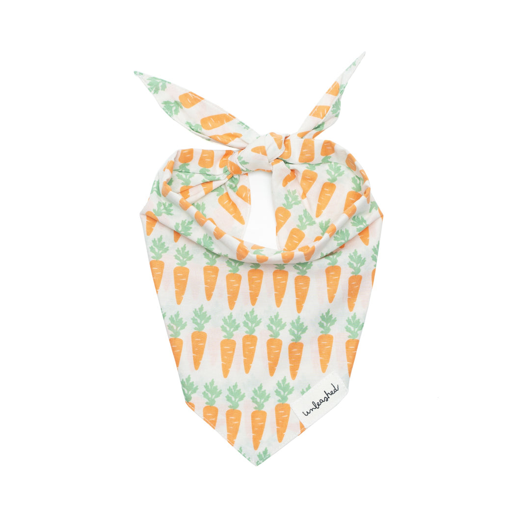 Unleashed Bandana- Crunch