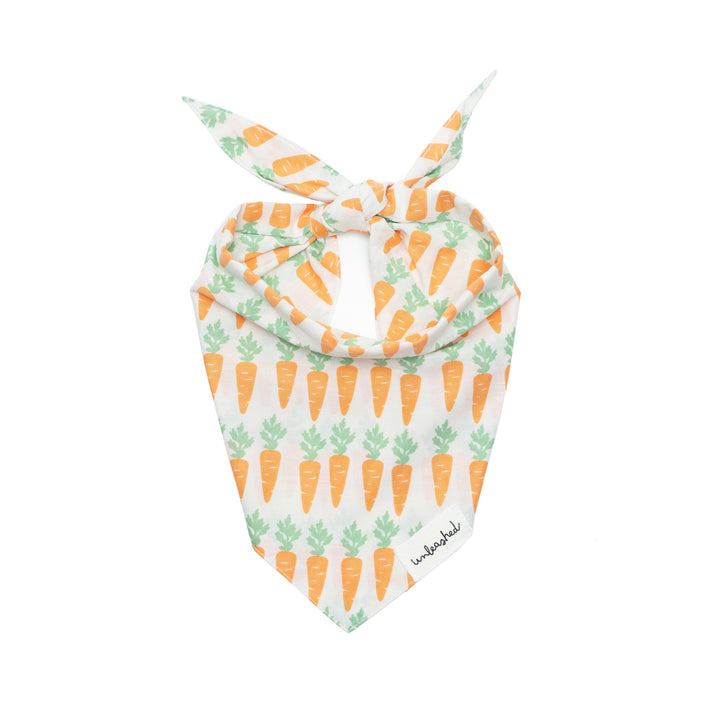 Unleashed Bandana- Crunch