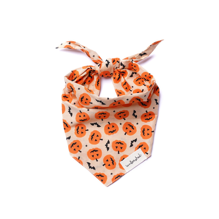 Unleashed Bandana - Pupkin