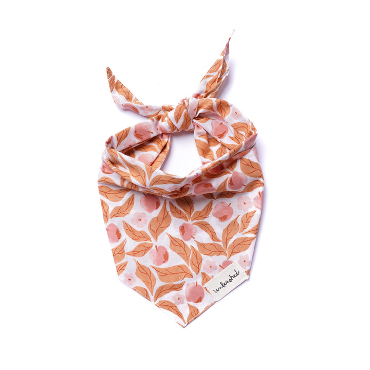 Unleashed Bandana-Apple Crisp