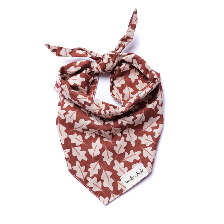 Unleashed Bandana - Hudson