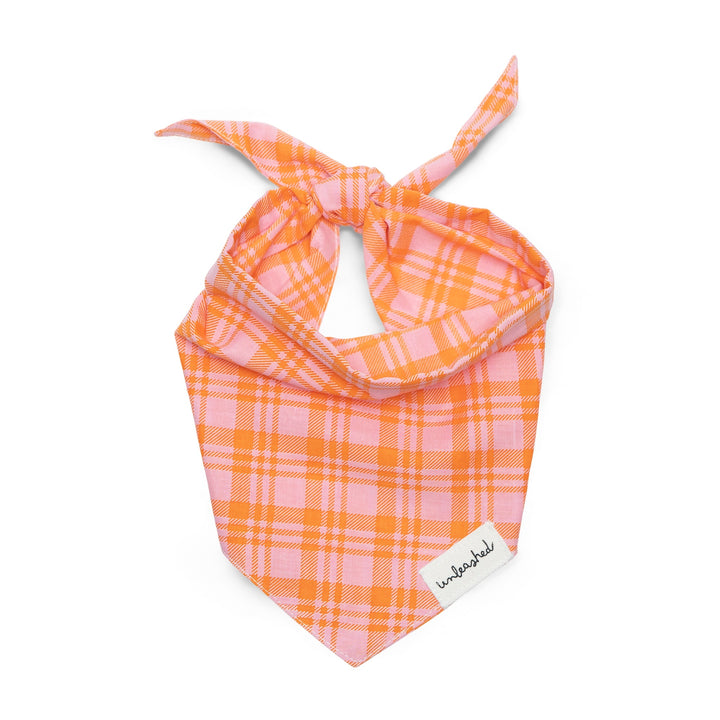 Unleashed Bandana- Stevie