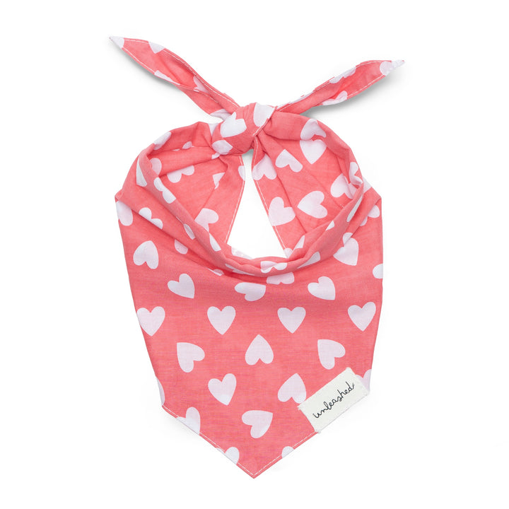 Unleashed Bandana - Whole Lotta Love