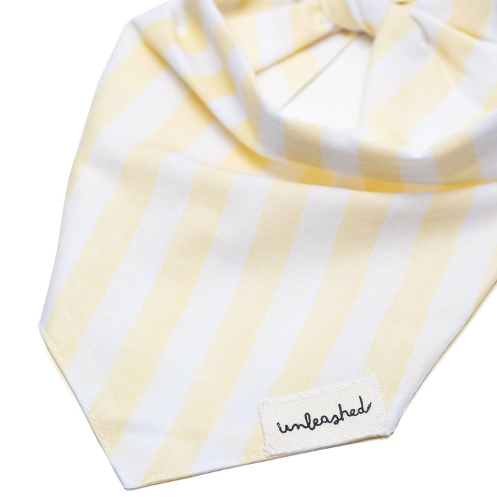 Unleashed Bandana - Butter Stripe