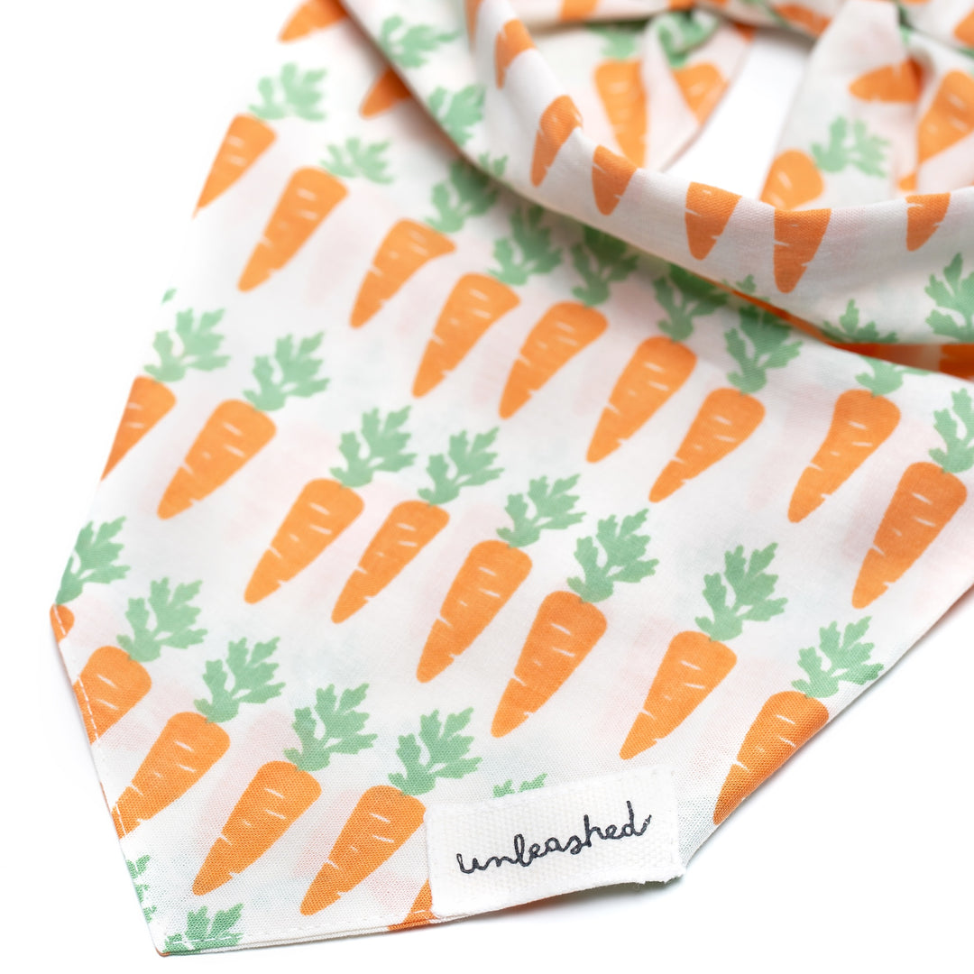 Unleashed Bandana- Crunch
