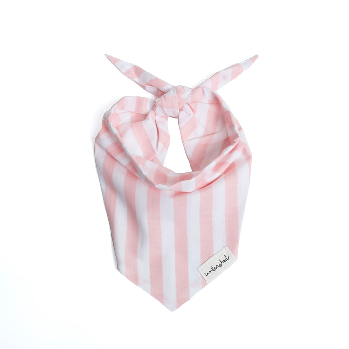 Unleashed Bandana - Cabana Blush Pink