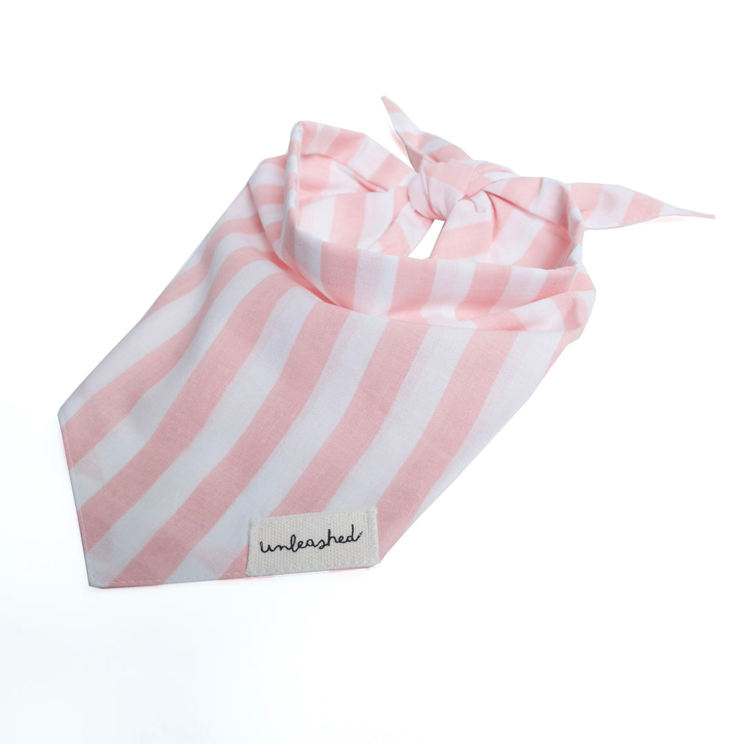 Unleashed Bandana - Cabana Blush Pink