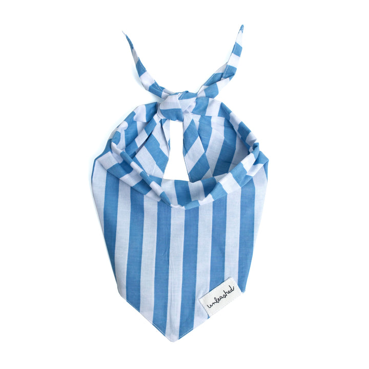Unleashed Bandana - Cabana Blue