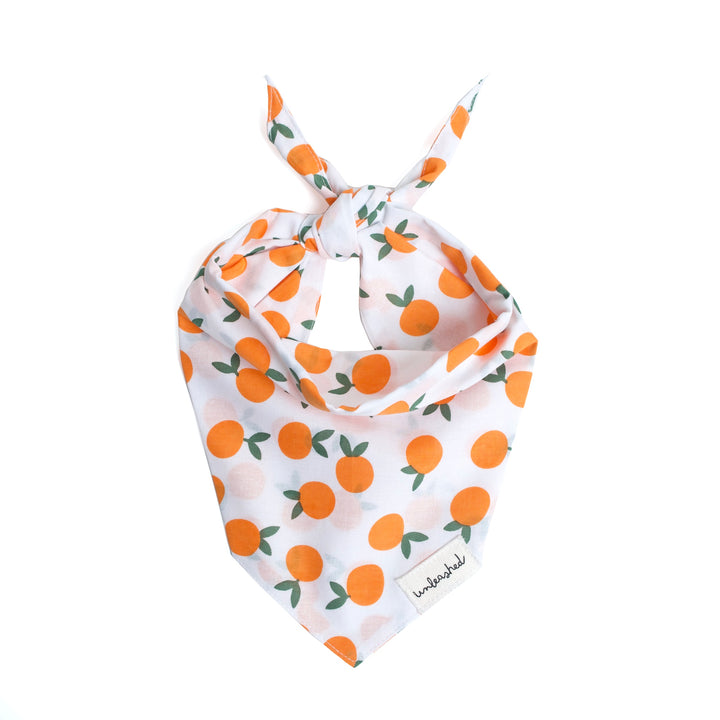Unleashed Bandana - Clementine