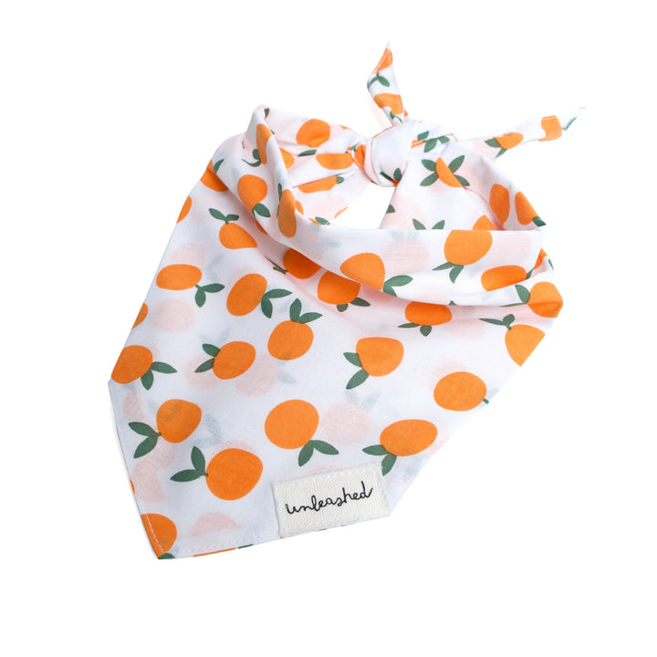 Unleashed Bandana - Clementine