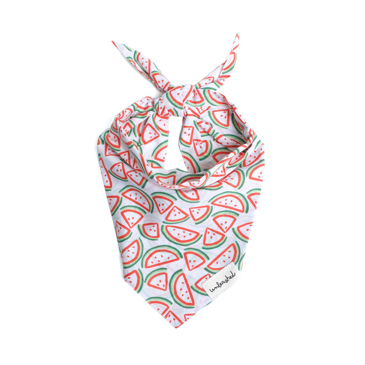 Unleashed Bandana - Picnic