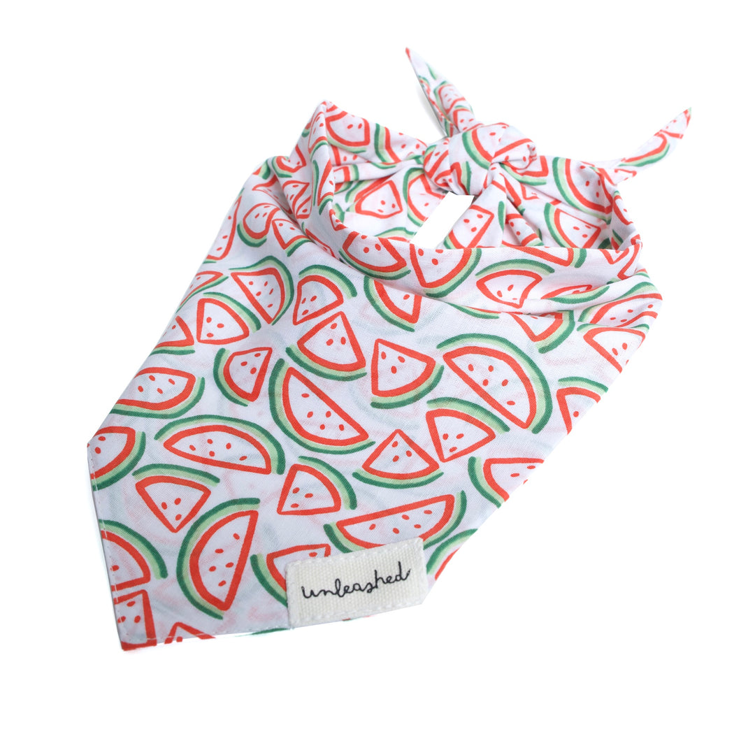 Unleashed Bandana - Picnic