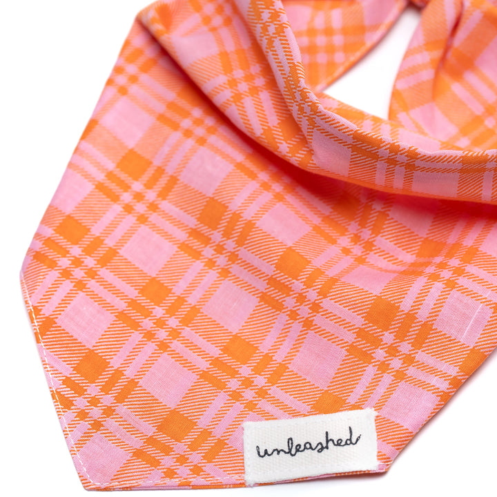 Unleashed Bandana- Stevie