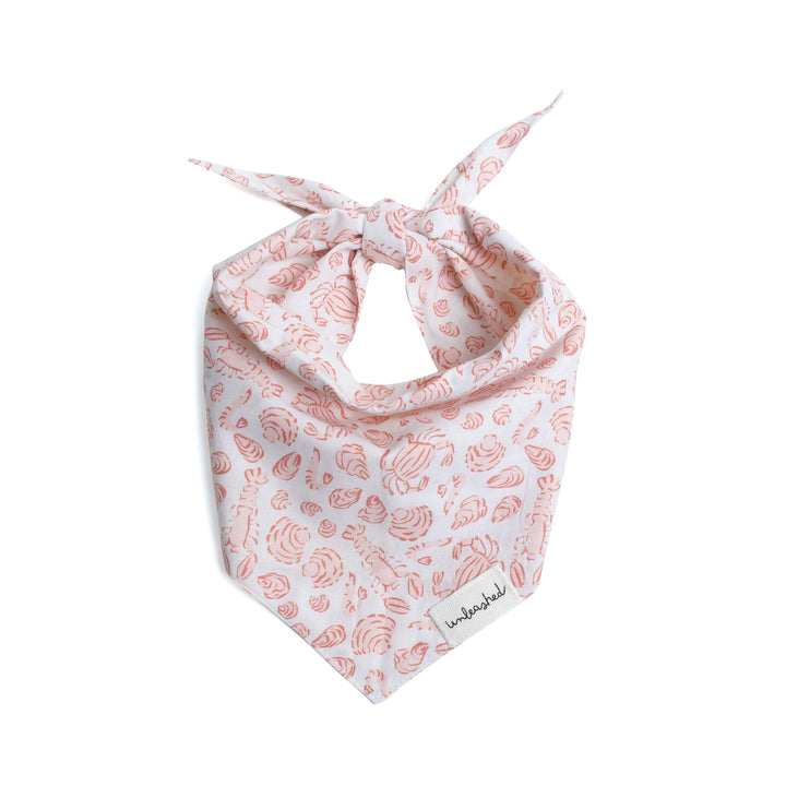 Unleashed Bandana - Tides