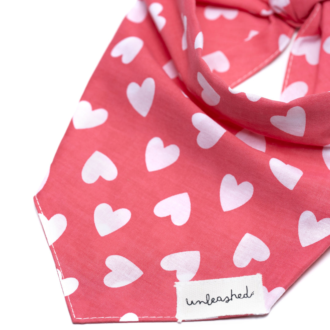 Unleashed Bandana - Whole Lotta Love