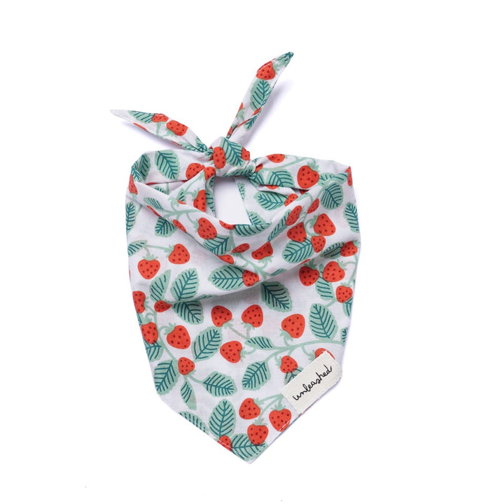Unleashed Bandana - Henly