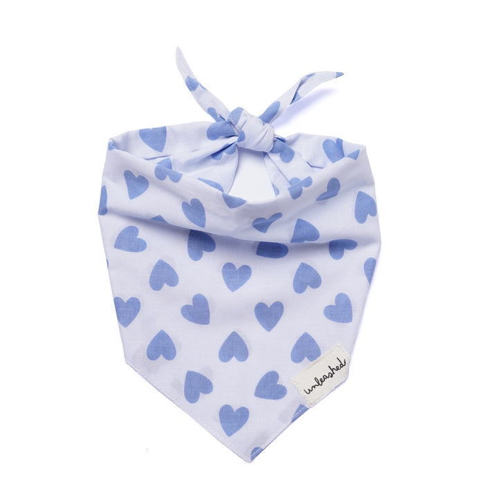 Unleashed Bandana - Story