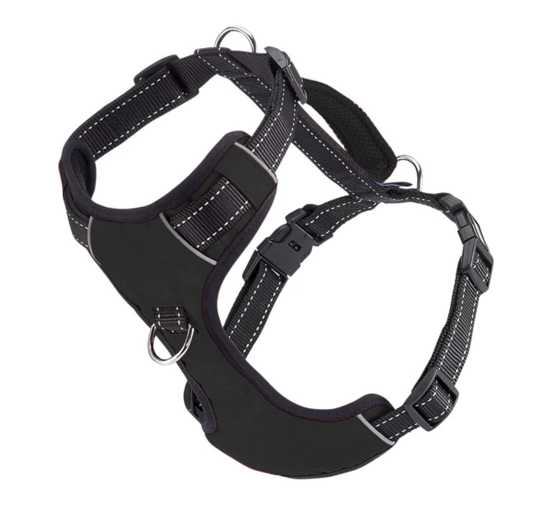 Chesapeake Bay Dog Harness (4 Colors)
