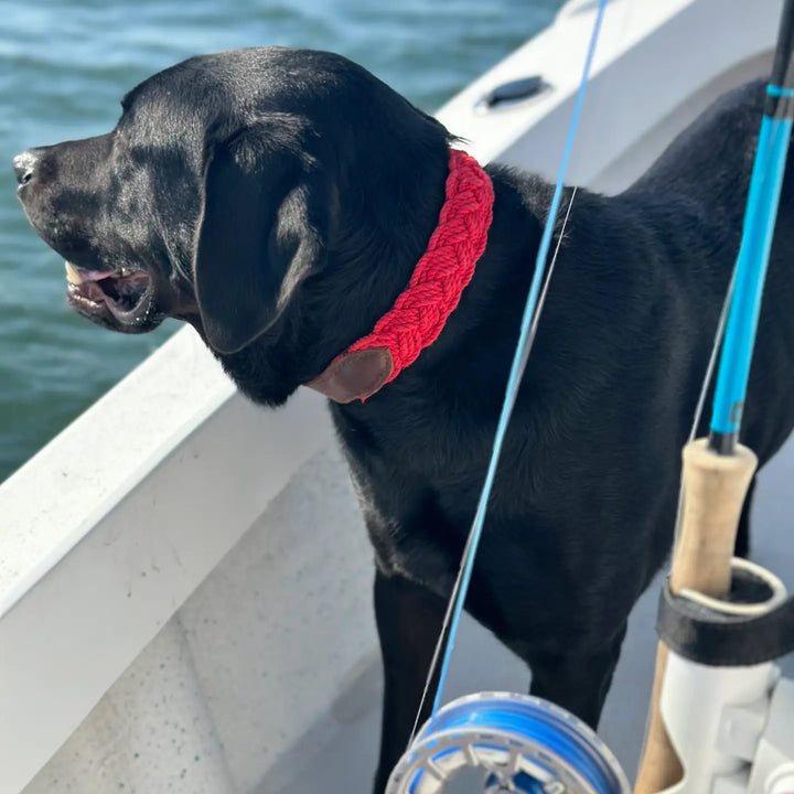 Seaside Dog Collar-Clifford Red