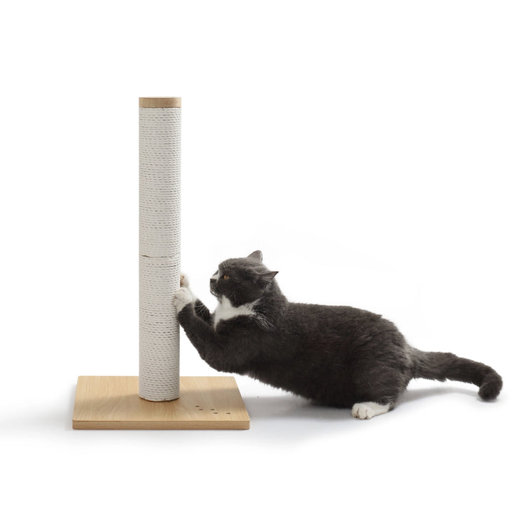 Premium Comfort Scratching Post (Oak)