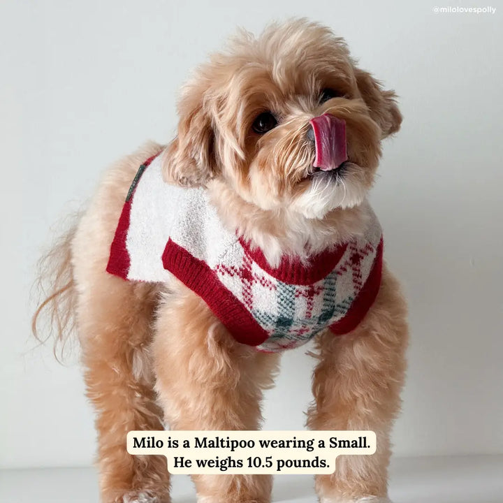 Snow Much Fun Sweater