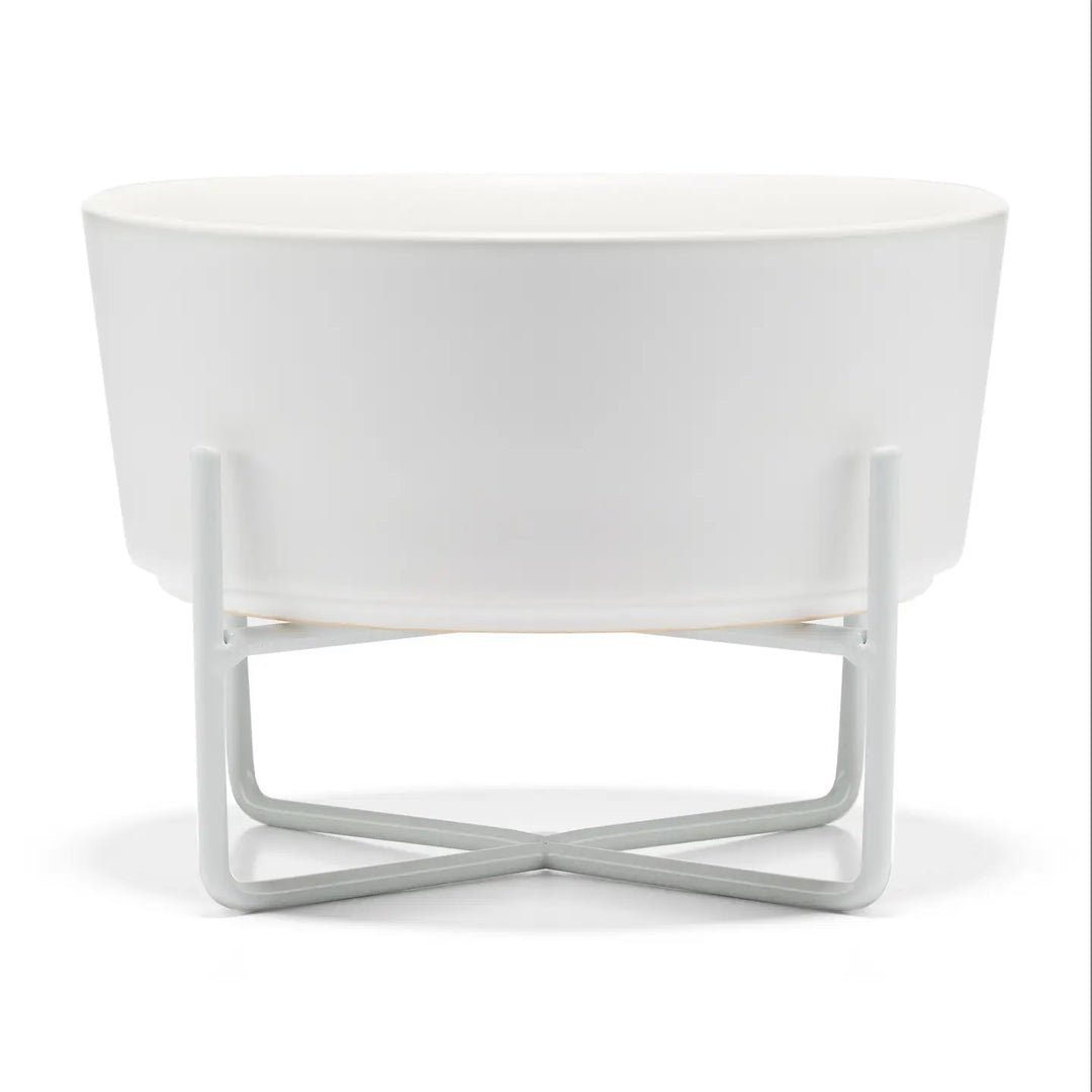 Simple Solid Bowl + Dog Bowl Stand (Small) (3 Colors)